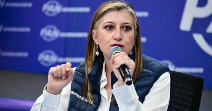 Federación entorpece avances estatales en materia de desaparición y violencia de género