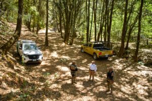 Refuerzan vigilancia para la protección del medio ambiente en la Sierra de Santa Rosa