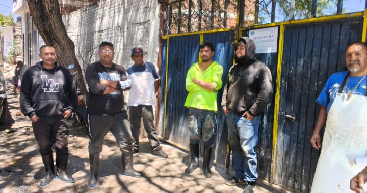 Suspende Secretaría de Salud, matadero particular en Pénjamo por riesgos sanitarios