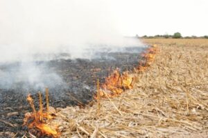 Quemas de esquilmos pueden ser sancionadas penalmente en Guanajuato