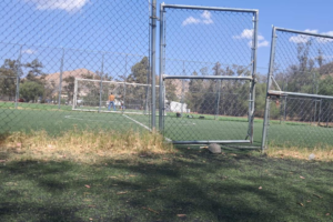 PROYECTAN SEVERAS MEDIDAS SOBRE ACTOS VIOLENTOS EN UNIDADES DEPORTIVAS