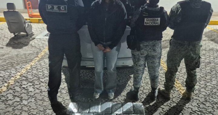 Asegura PEC más de 59 mil dosis de presunta cocaína en la autopista Morelia-Salamanca: detienen a una persona