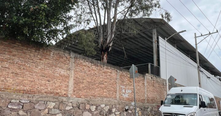 La meta son 500 techos escolares en el sexenio