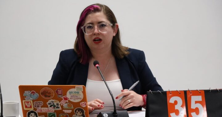 Sumarse a MC es sumarse a una agenda por los derechos de las mujeres: Sandra Pedroza