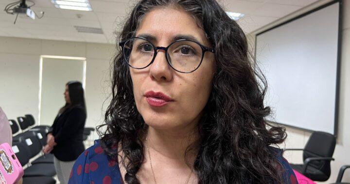 Figura de violencia política es positiva para aplicarse en Guanajuato: TEEG