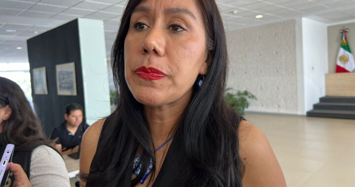 La reforma para castigar las ECOSIG eran inoperantes desde que se aprobaron: Susana Bermúdez