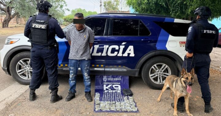 Asegura Unidad Canina K9 cerca de 500 dosis de droga y detiene a una persona en León