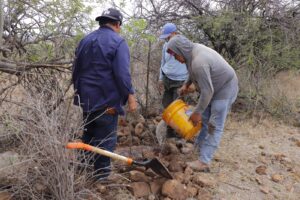 Impulsan la protección ambiental con una Semana de Acciones Integrales de Reforestación y Reciclaje