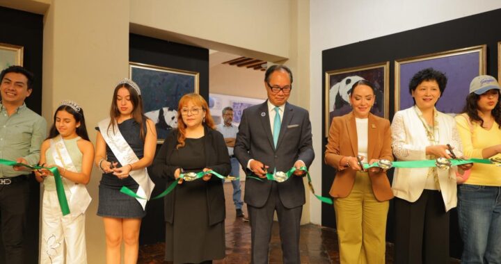 Guanajuato Capital fortalece su amistad con China: inauguran la exhibición “El arte del panda conecta al mundo”
