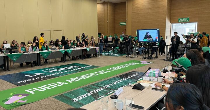 Colectivas feministas critican retraso de la despenalización del aborto