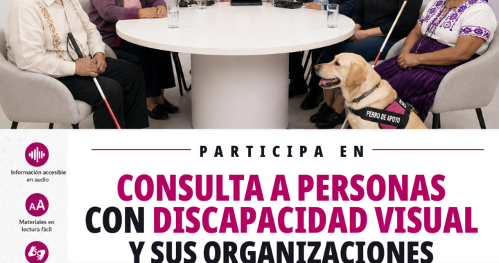 Convoca INE Guanajuato a personas con discapacidad visual a participar en la Consulta sobre materiales electorales en elecciones judiciales