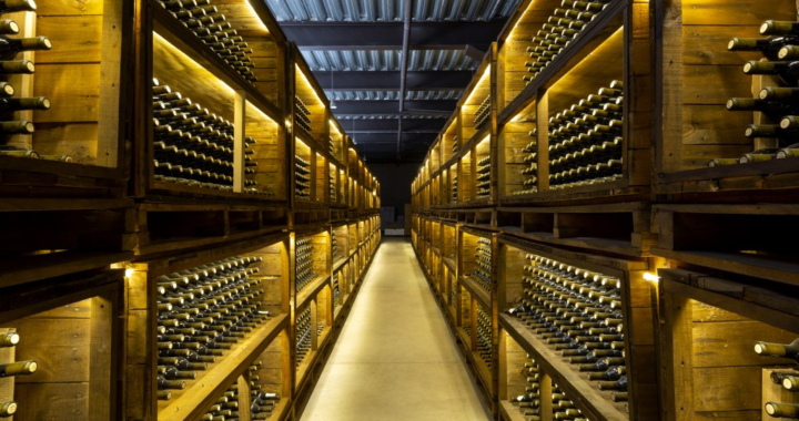 Viñedo San Miguel es reconocido como la Mejor Bodega del Año en el Día Internacional del Sommelier 2026