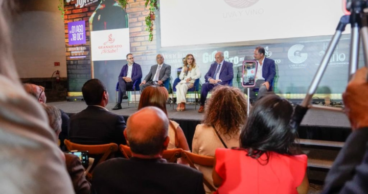 Ya vienen las Vendimias 2026, donde el vino se vive, se comparte y se convierte en una experiencia