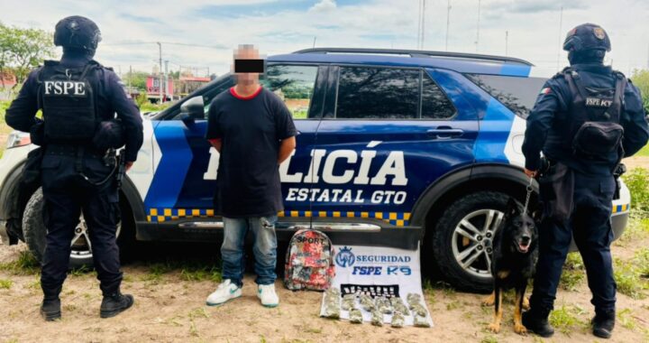 Detecta Unidad Canina K-9 más de 660 dosis de presunta droga y contribuye a una detención en Irapuato