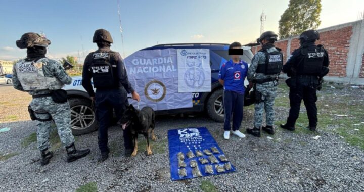 Asegura Unidad Canina K9 más de 600 dosis de droga y detiene a una persona en Irapuato