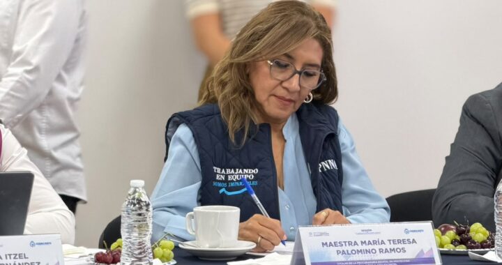 Brindan más de 56 mil representaciones jurídicas para proteger a niñas, niños y adolescentes