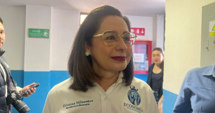 Pese a incertidumbre generada por el T-MEC, Guanajuato debe seguir diversificando su oferta comercial