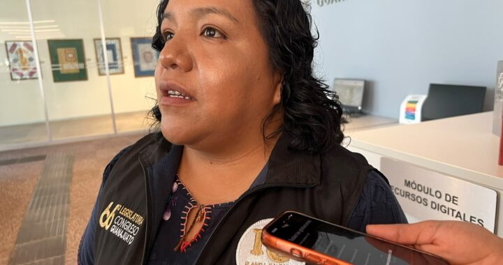 Pide Plásida Calzada, garantizar derechos de las personas indígenas desde el IEEG
