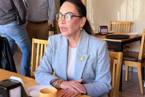 No registrarme como defensora de la patria, no me quita el derecho a la reelección: Smith