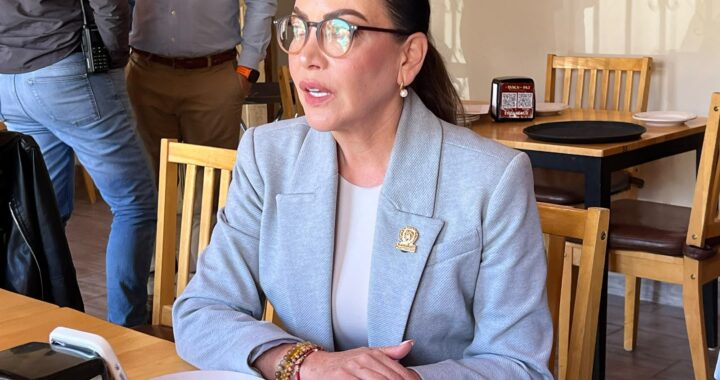 No registrarme como defensora de la patria, no me quita el derecho a la reelección: Smith