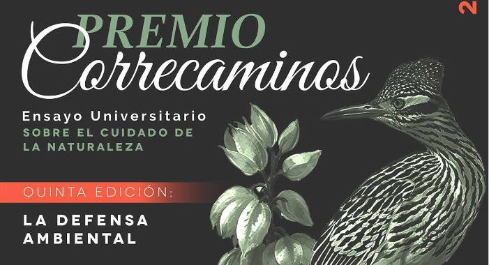 UG: convoca el Campus Guanajuato al Premio Correcaminos: ensayo sobre el cuidado de la naturaleza