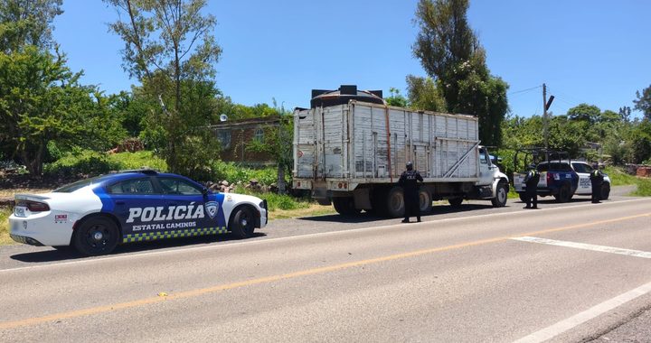 Asegura PEC 10 mil litros de hidrocarburo en Pénjamo