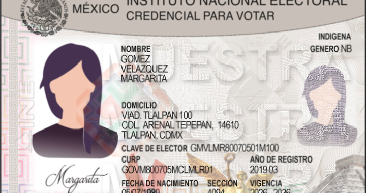 Hay que mantener vigilancia en la auto adscripción indígena en las nuevas credenciales de elector
