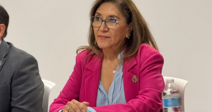 Buscan 136 menores guanajuatenses un hogar permanente