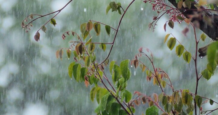 Prevé Observatorio Meteorológico de la UG una semana con lluvias y vientos ligeros en Guanajuato