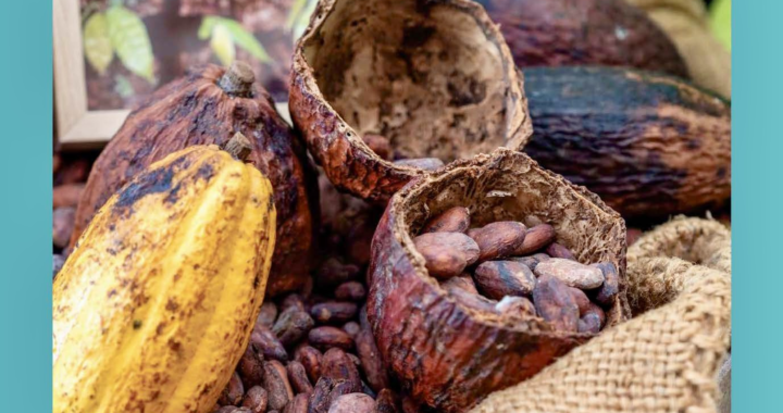 La revista Ciencia e Innovación Agroalimentaria de la UG fue admitida en el Sistema Nacional de Publicaciones Científicas y Humanísticas