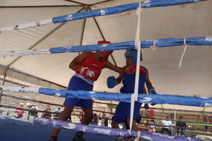 CELEBRAN GALA DE BOXEO DE TRES DÍAS