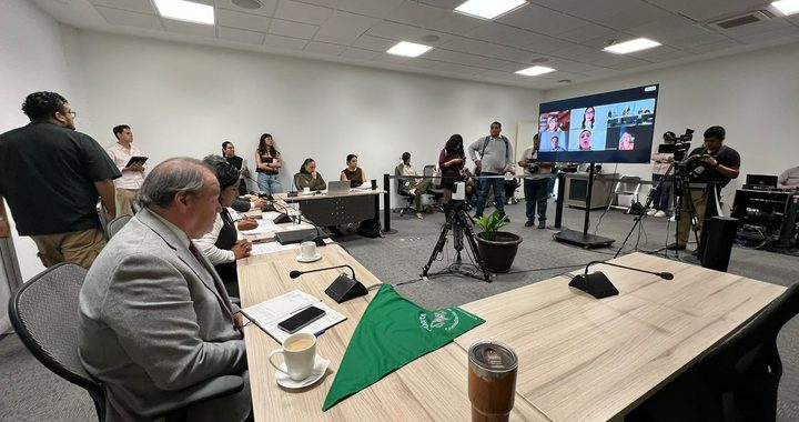 Iniciativas para despenalizar el aborto, no han sido dictaminadas 