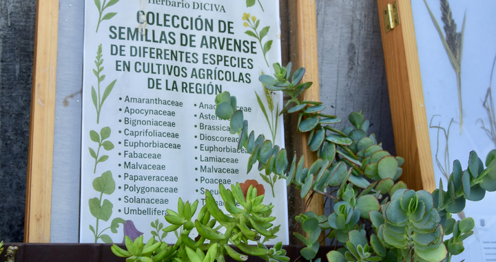 Especialistas de México y América Latina comparten conocimientos botánicos en la UG