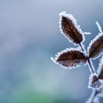 UG: Frente frío mantendrá temperaturas bajas en las zonas serranas y el norte de Guanajuato