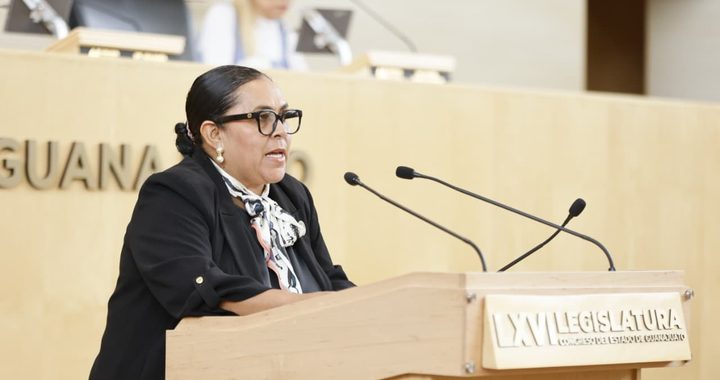 Desecha Congreso, iniciativa para que aspirantes a Poder Ejecutivos renuncien a la doble nacionalidad
